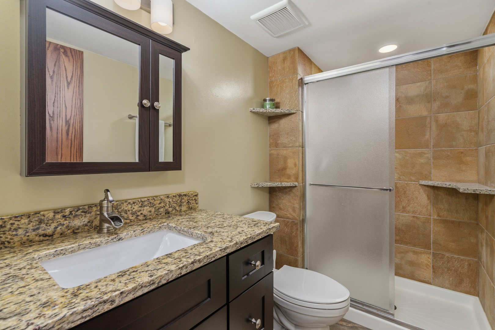 13707 W Carefree Drive, Homer Glen, IL 60491