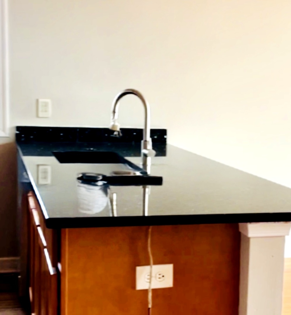 214 W 31St Street #1E, Chicago, IL 60616