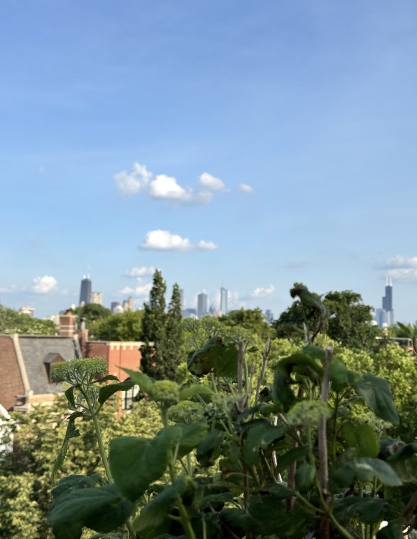 2650 N Racine Avenue #3, Chicago, IL 60614