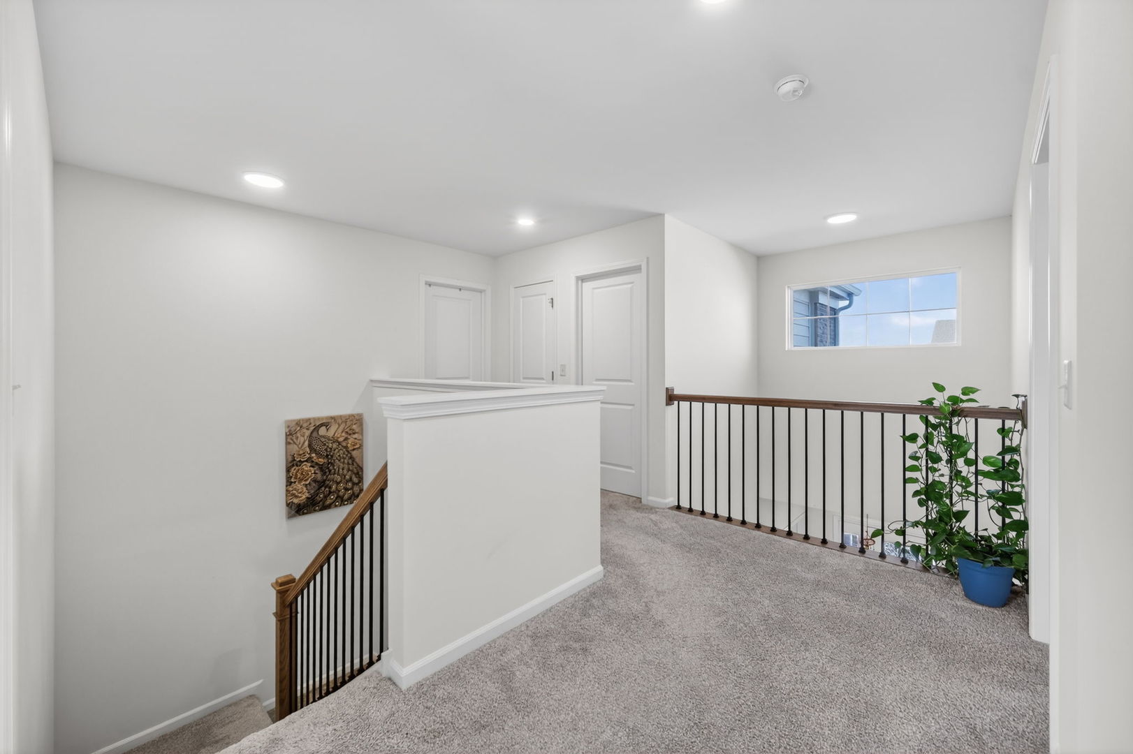 3803 Ivy Lane, Elgin, IL 60124