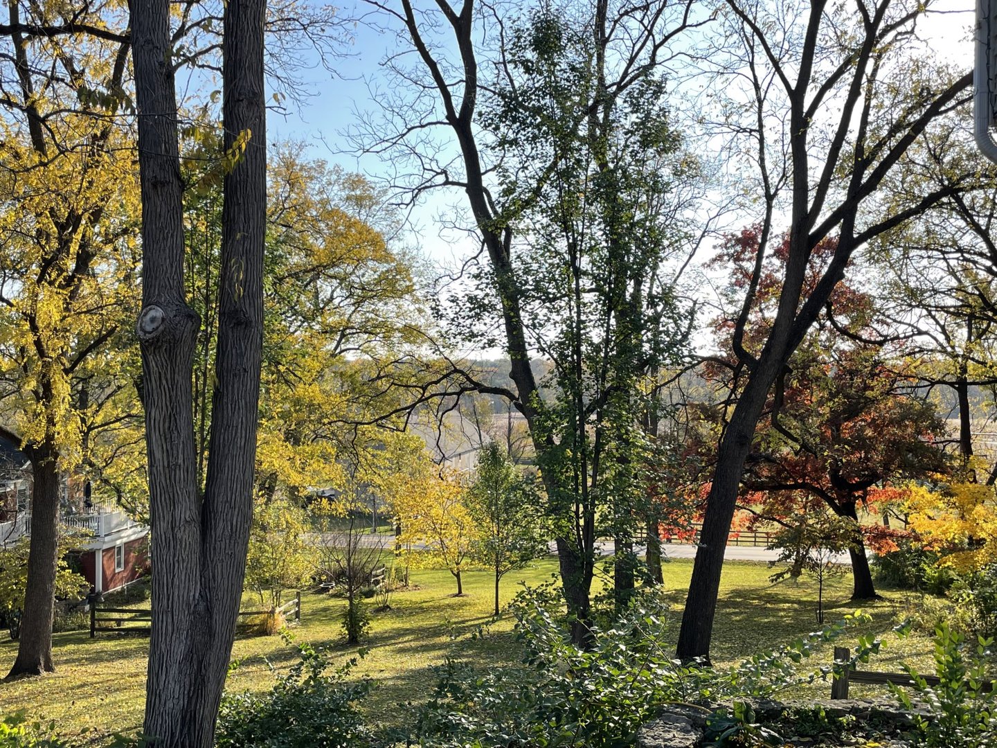 1126 Crane Drive, Sleepy Hollow, IL 60118