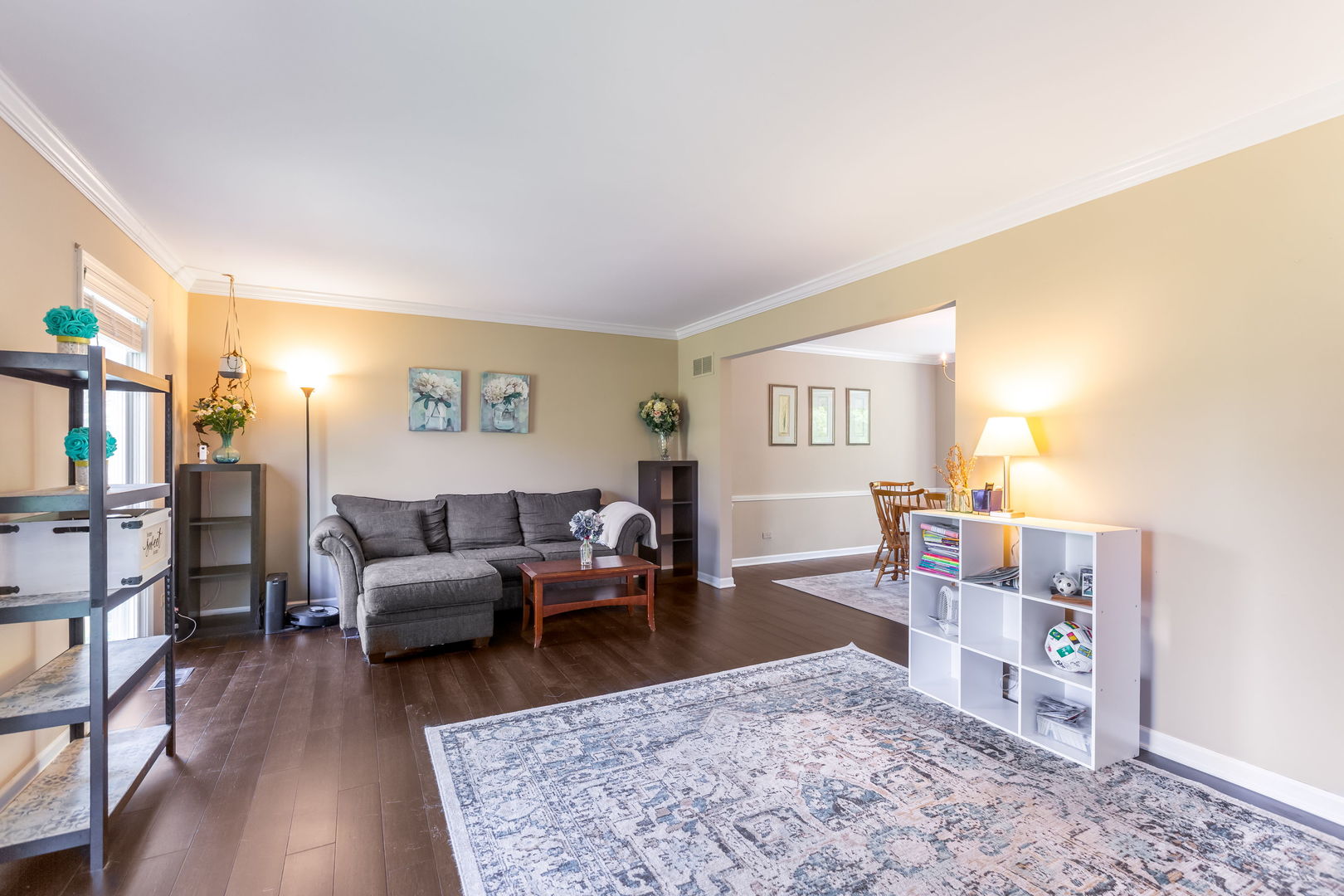 1126 Crane Drive, Sleepy Hollow, IL 60118