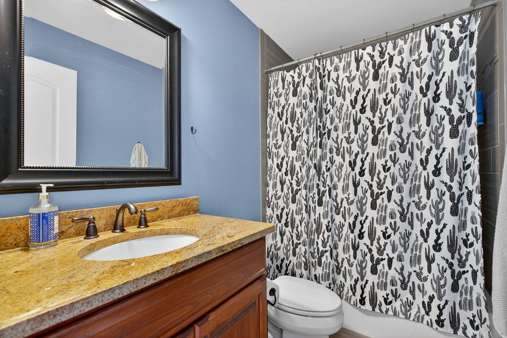 11050 Siena Drive, Frankfort, IL 60423