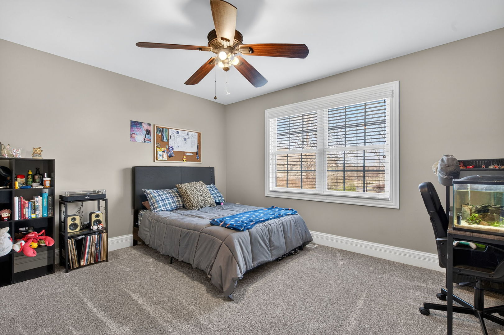 11050 Siena Drive, Frankfort, IL 60423