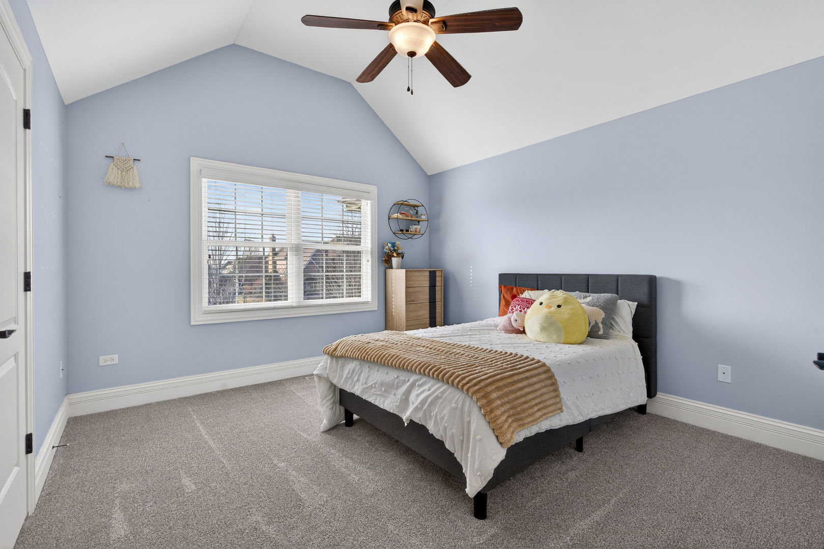 11050 Siena Drive, Frankfort, IL 60423