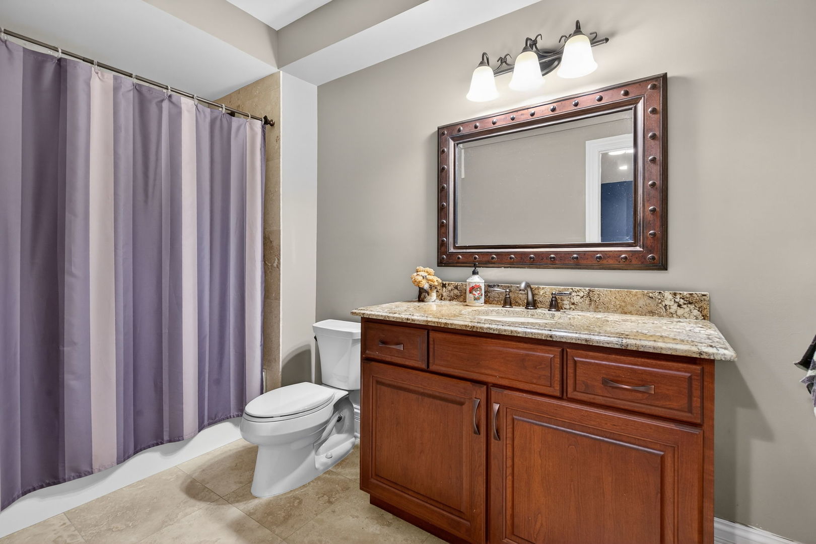 11050 Siena Drive, Frankfort, IL 60423