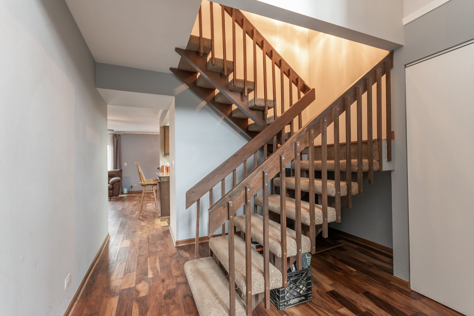 1678 Cove Court, Naperville, IL 60565