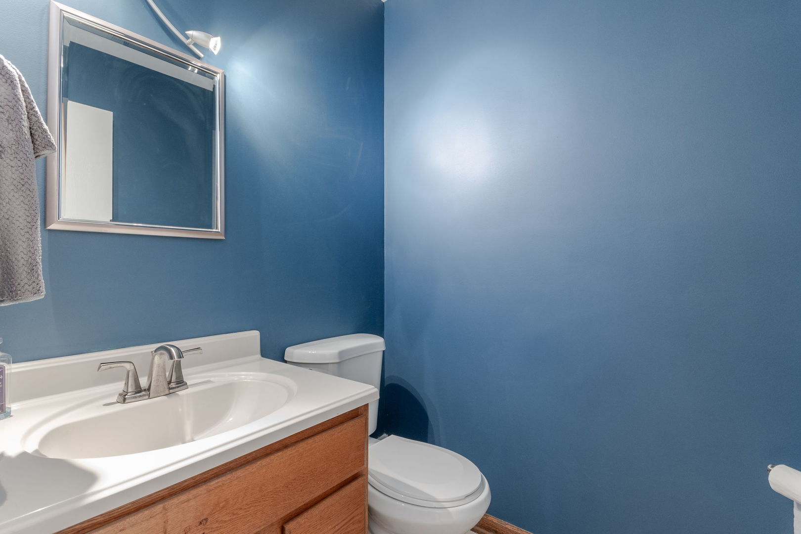 1678 Cove Court, Naperville, IL 60565