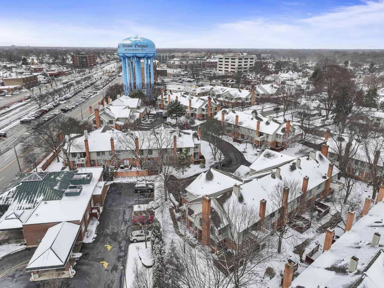 219 Village Drive #219, Mount Prospect, IL 60056