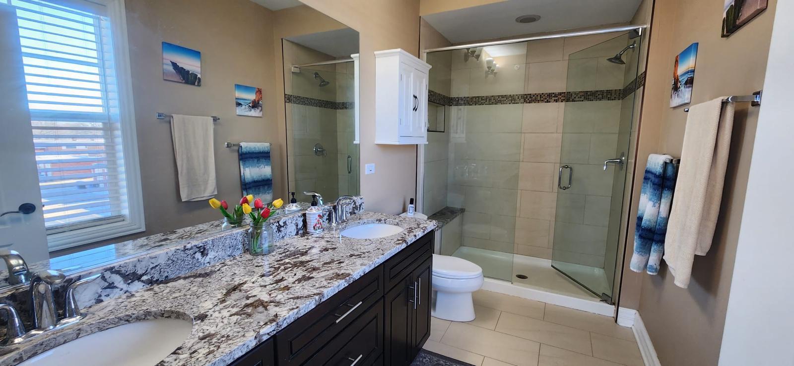 Mount Prospect, IL 60056