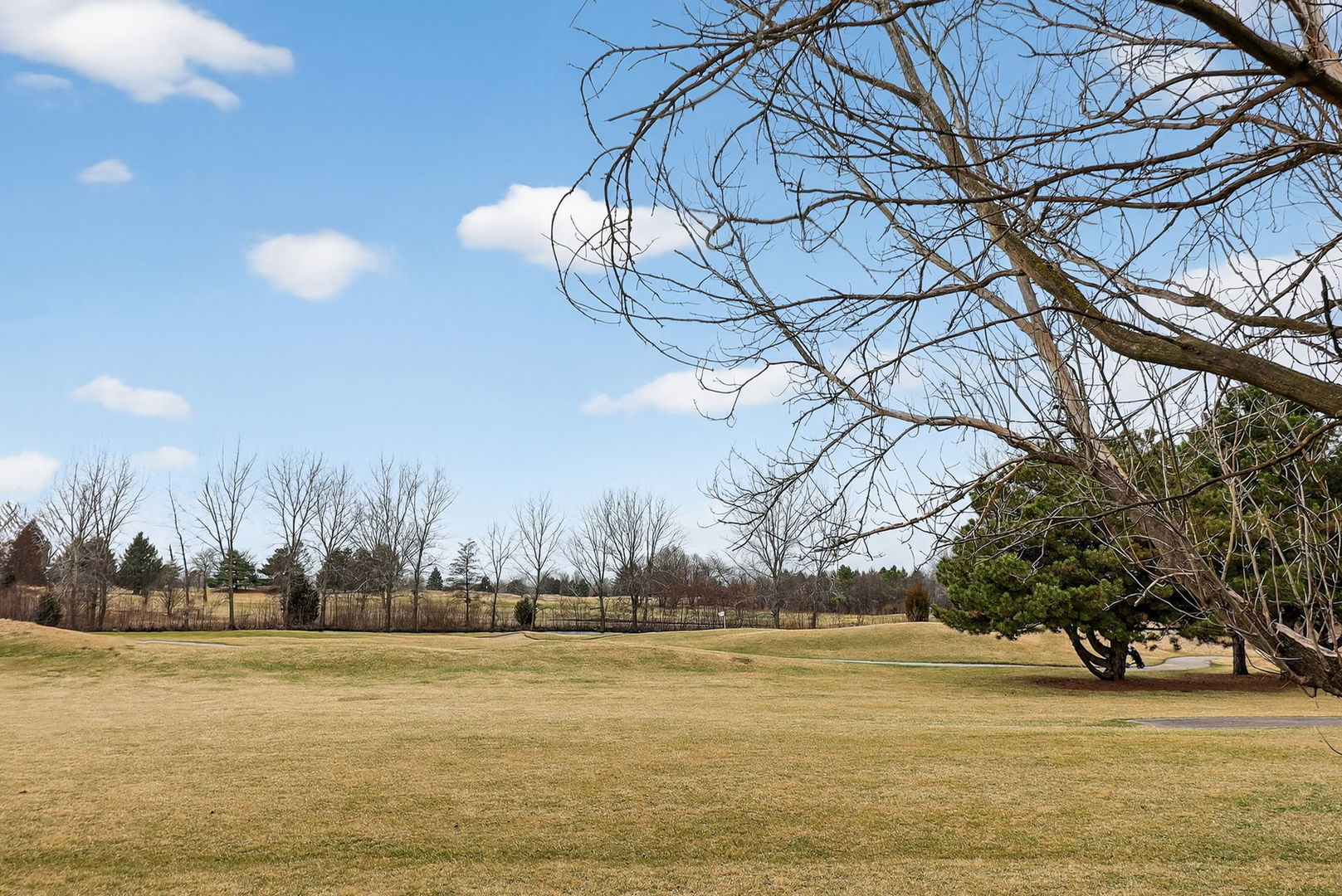 1 Crenshaw Court, Bolingbrook, IL 60490