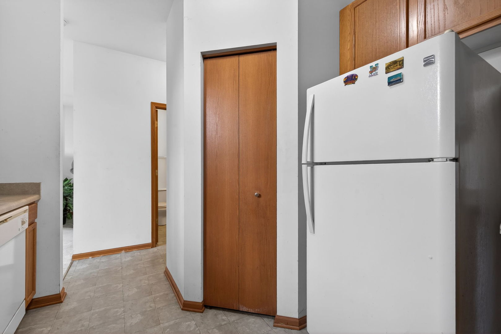 1105 Clover Drive, Minooka, IL 60447