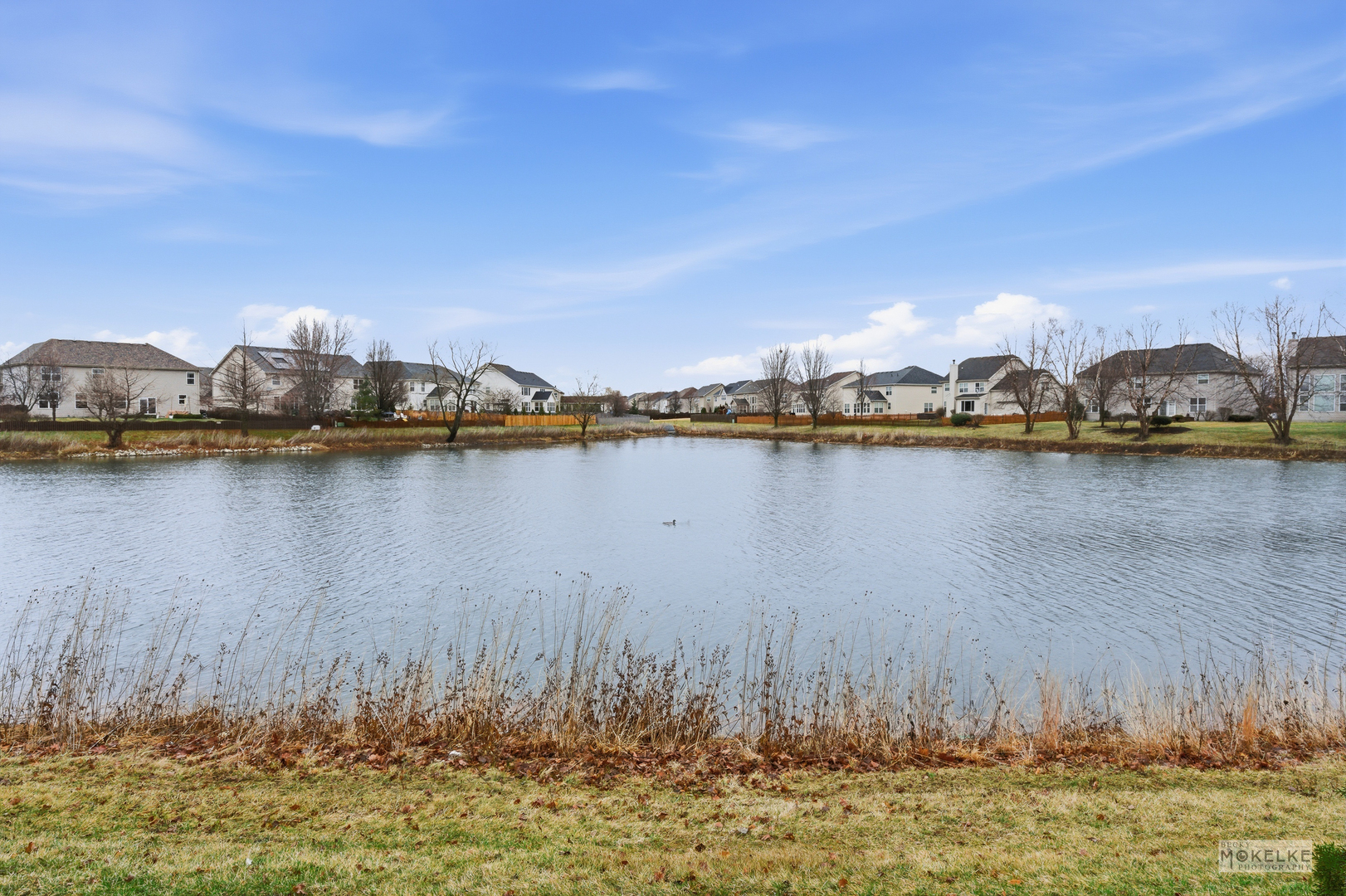 816 Colchester Drive, Oswego, IL 60543