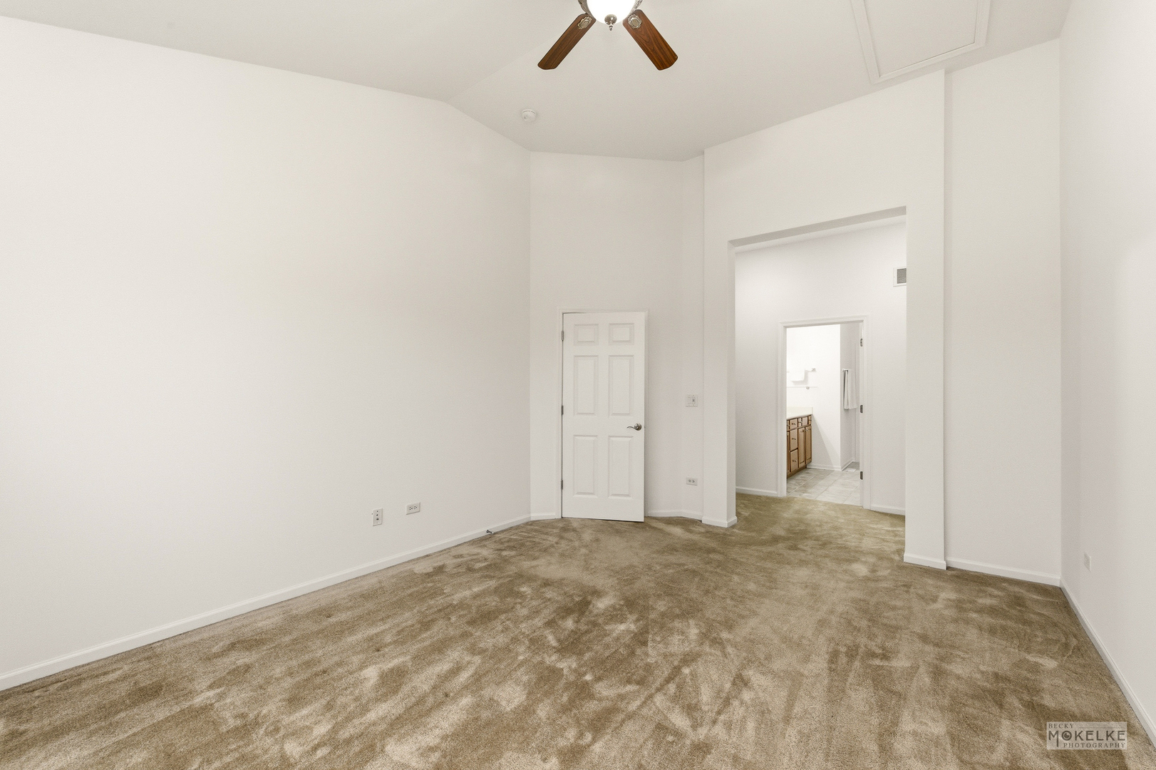 816 Colchester Drive, Oswego, IL 60543