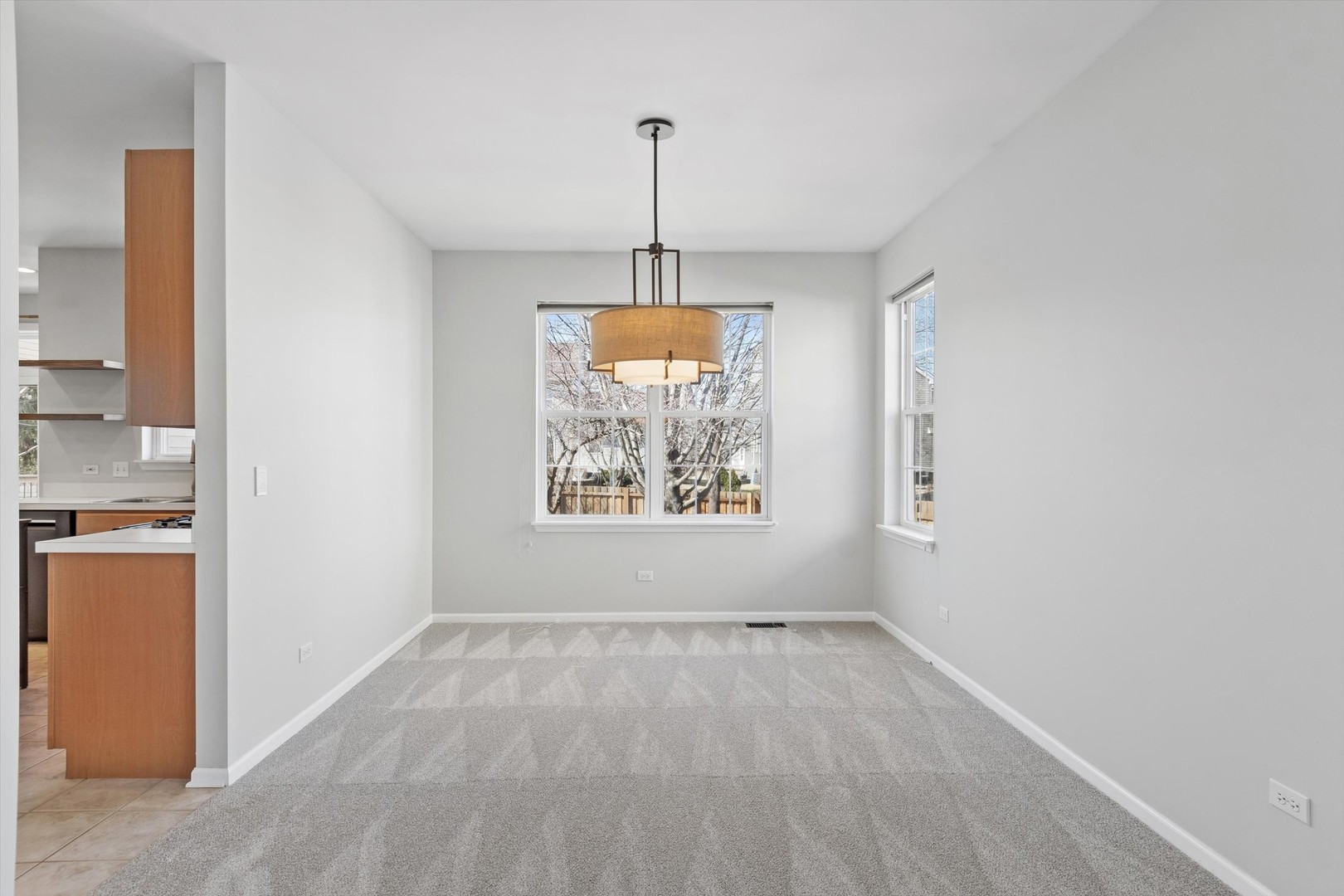 803 Lenox Avenue, Bolingbrook, IL 60490