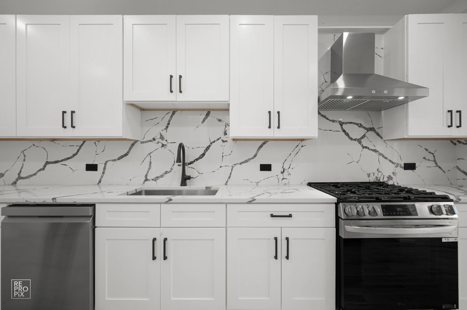 3641 N Hermitage Avenue, Chicago, IL 60613