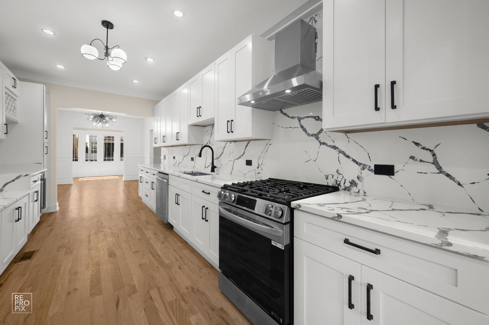 3641 N Hermitage Avenue, Chicago, IL 60613