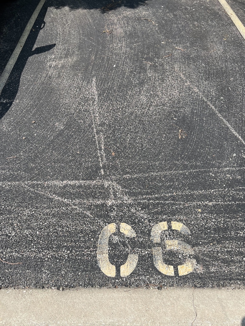 746 Prescott Drive #306, Roselle, IL 60172