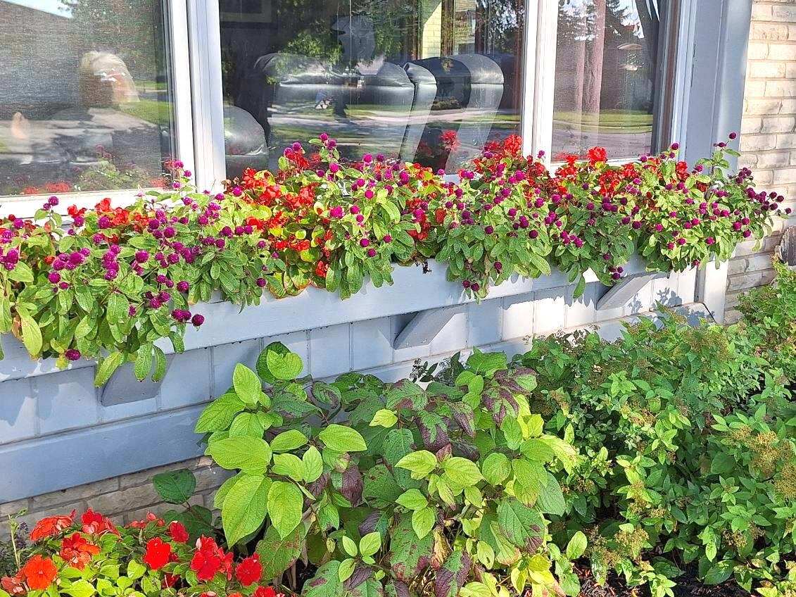 15545 Mimosa Drive, Orland Park, IL 60462