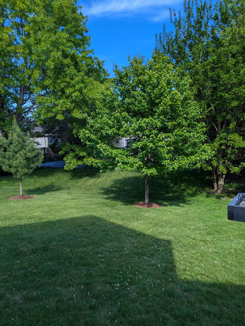 311 Briarwood Lane, Algonquin, IL 60102