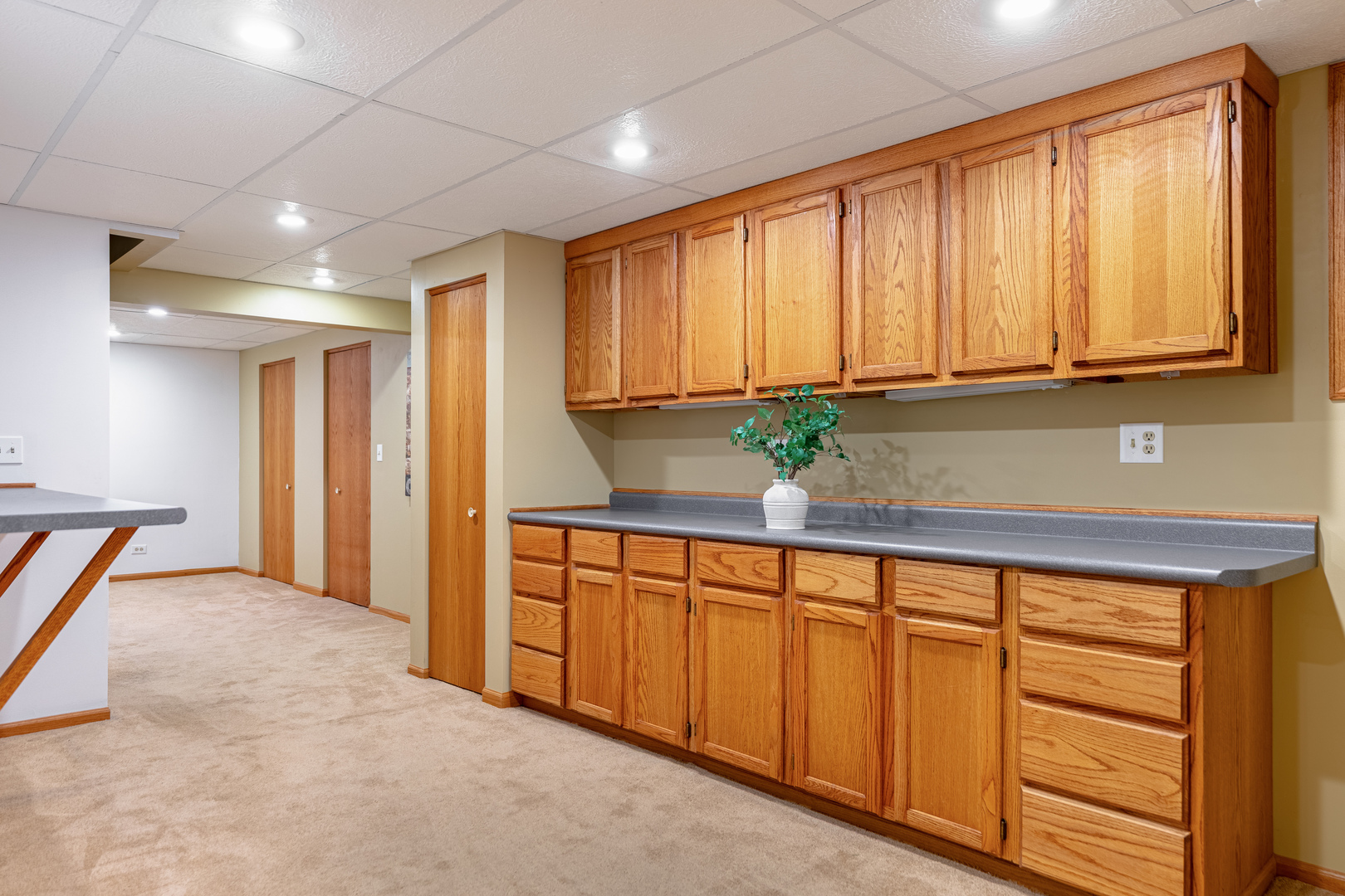 311 Briarwood Lane, Algonquin, IL 60102