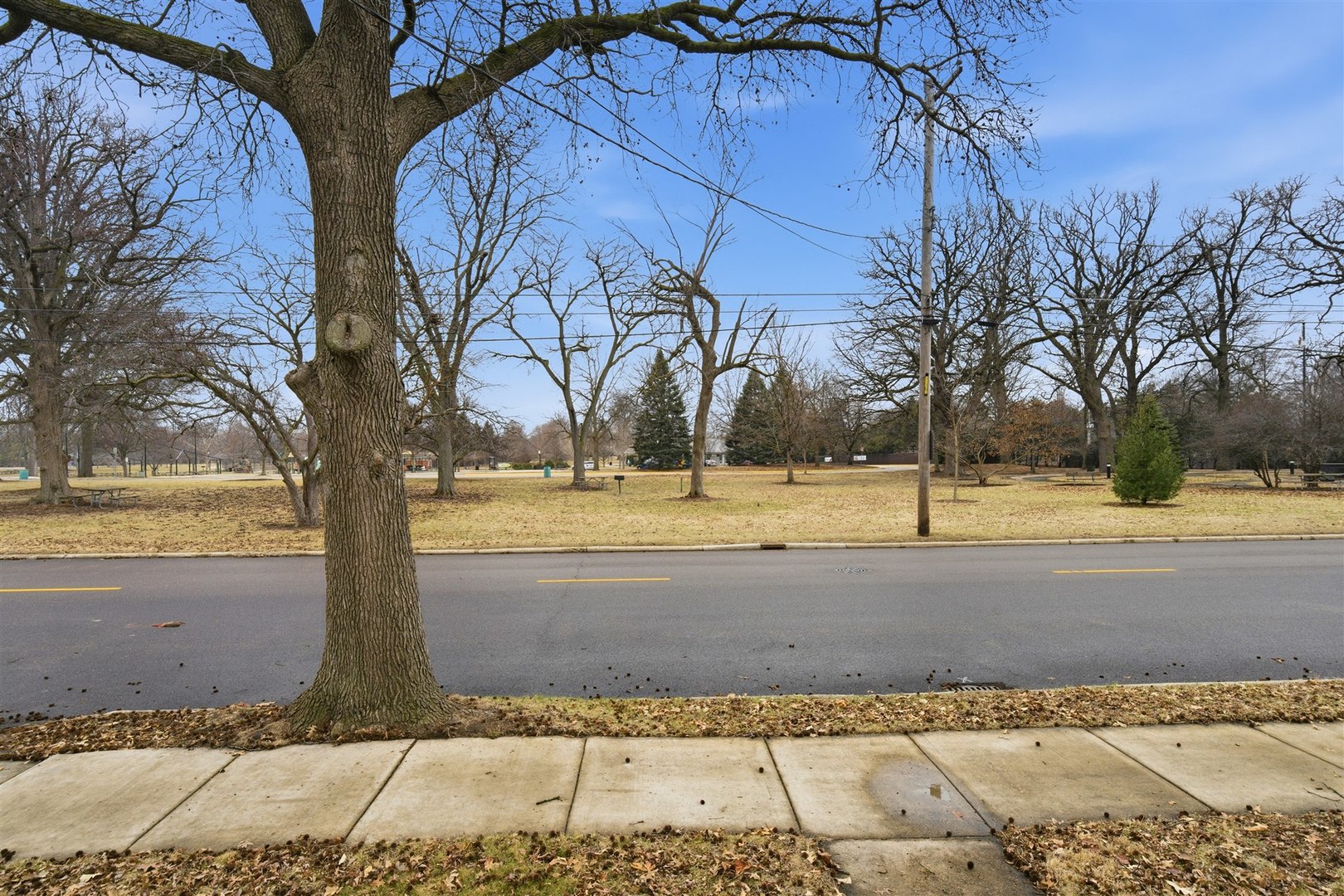 921 W Wood Street, Bloomington, IL 61701