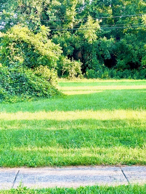 3803 W 139th Street, Robbins, IL 60472