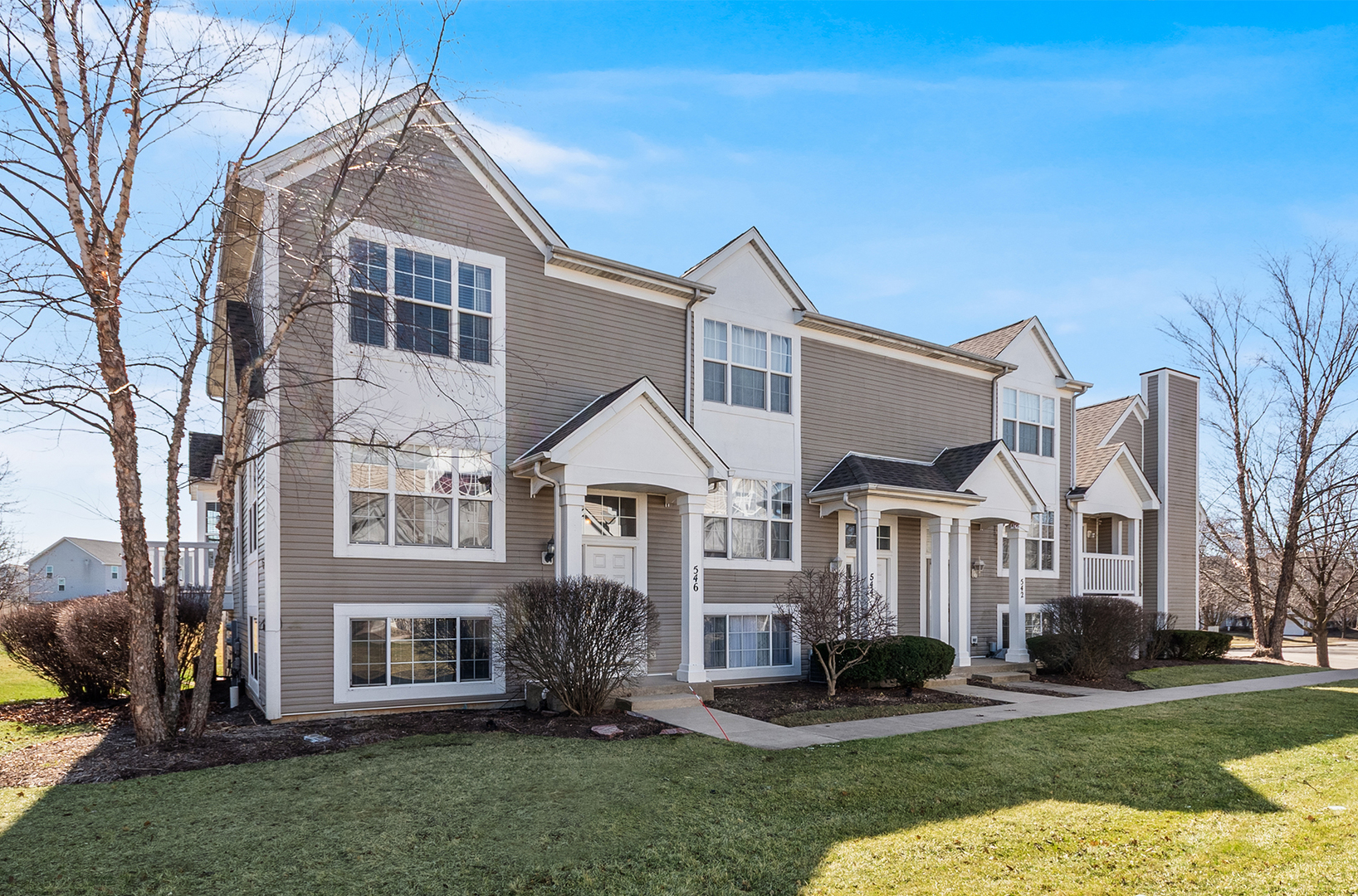 546 Meadow Lily Drive, Joliet, IL 60431