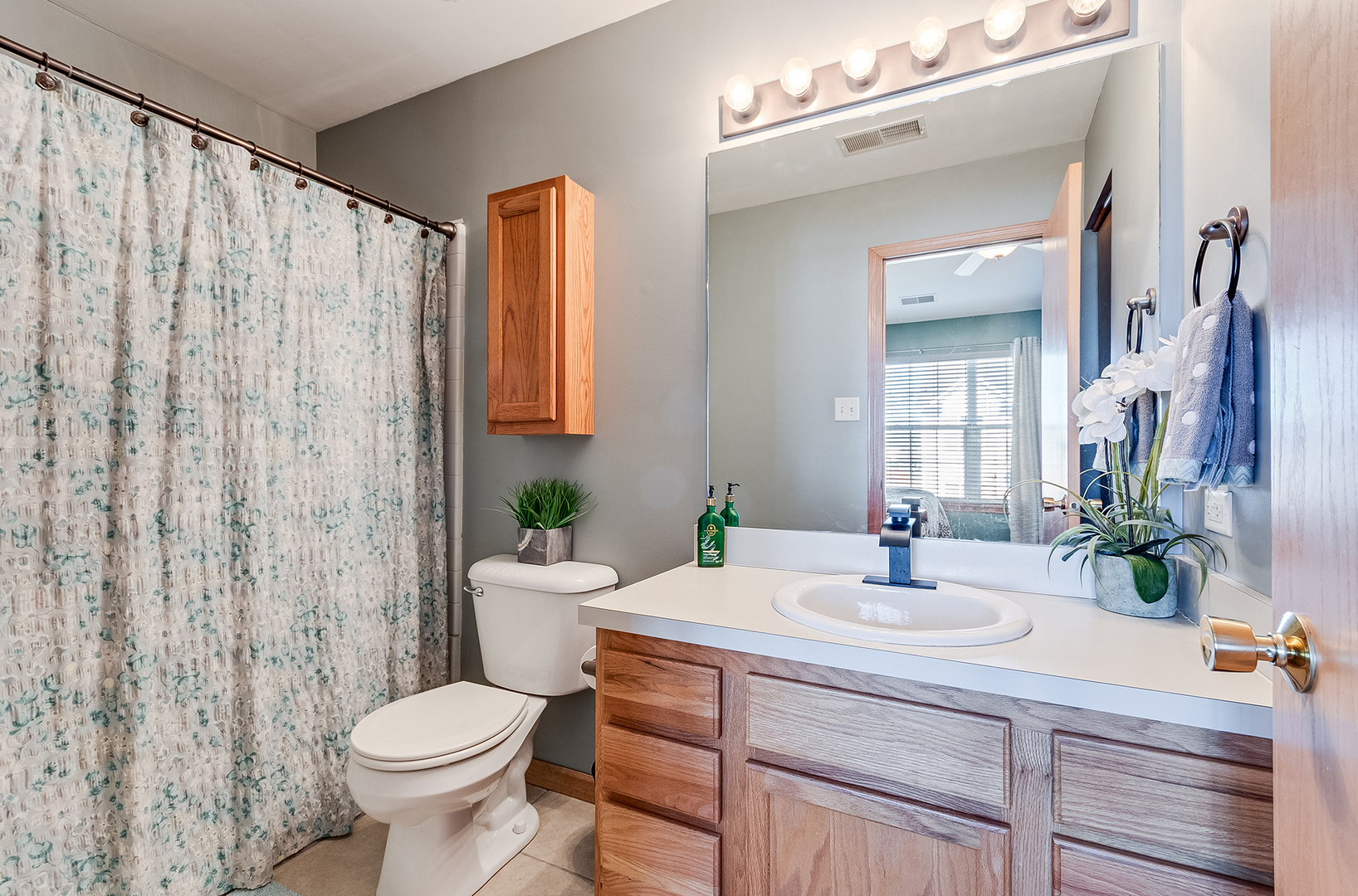 546 Meadow Lily Drive, Joliet, IL 60431