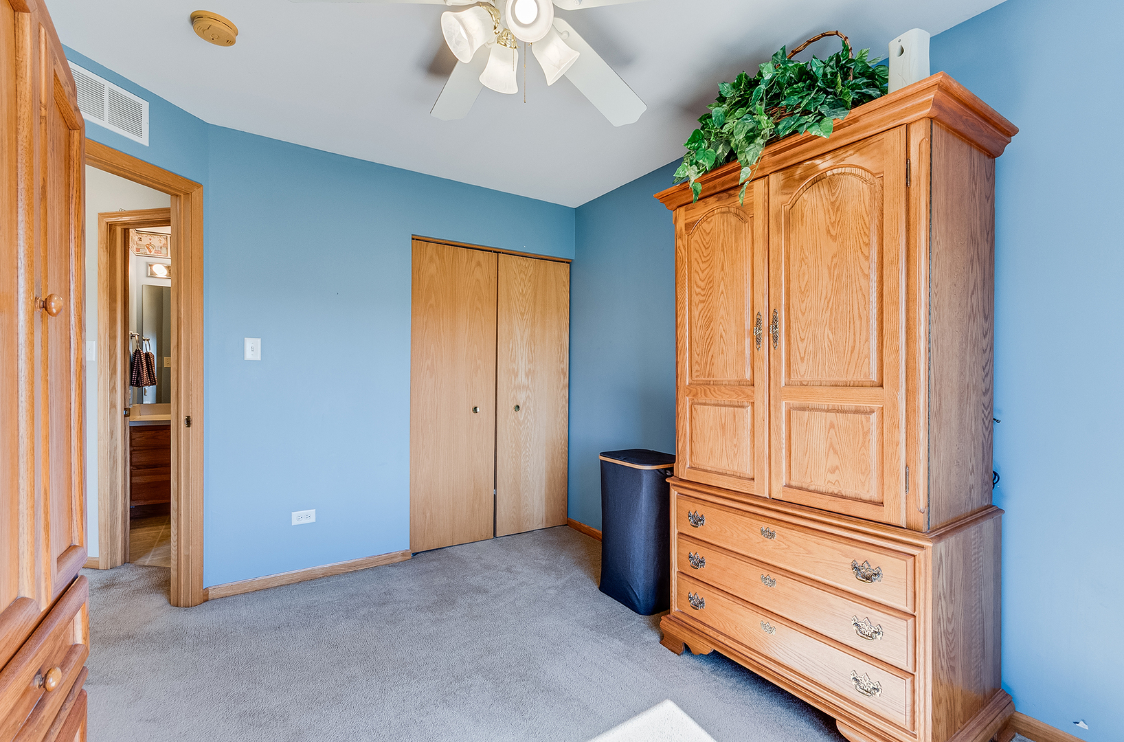 546 Meadow Lily Drive, Joliet, IL 60431