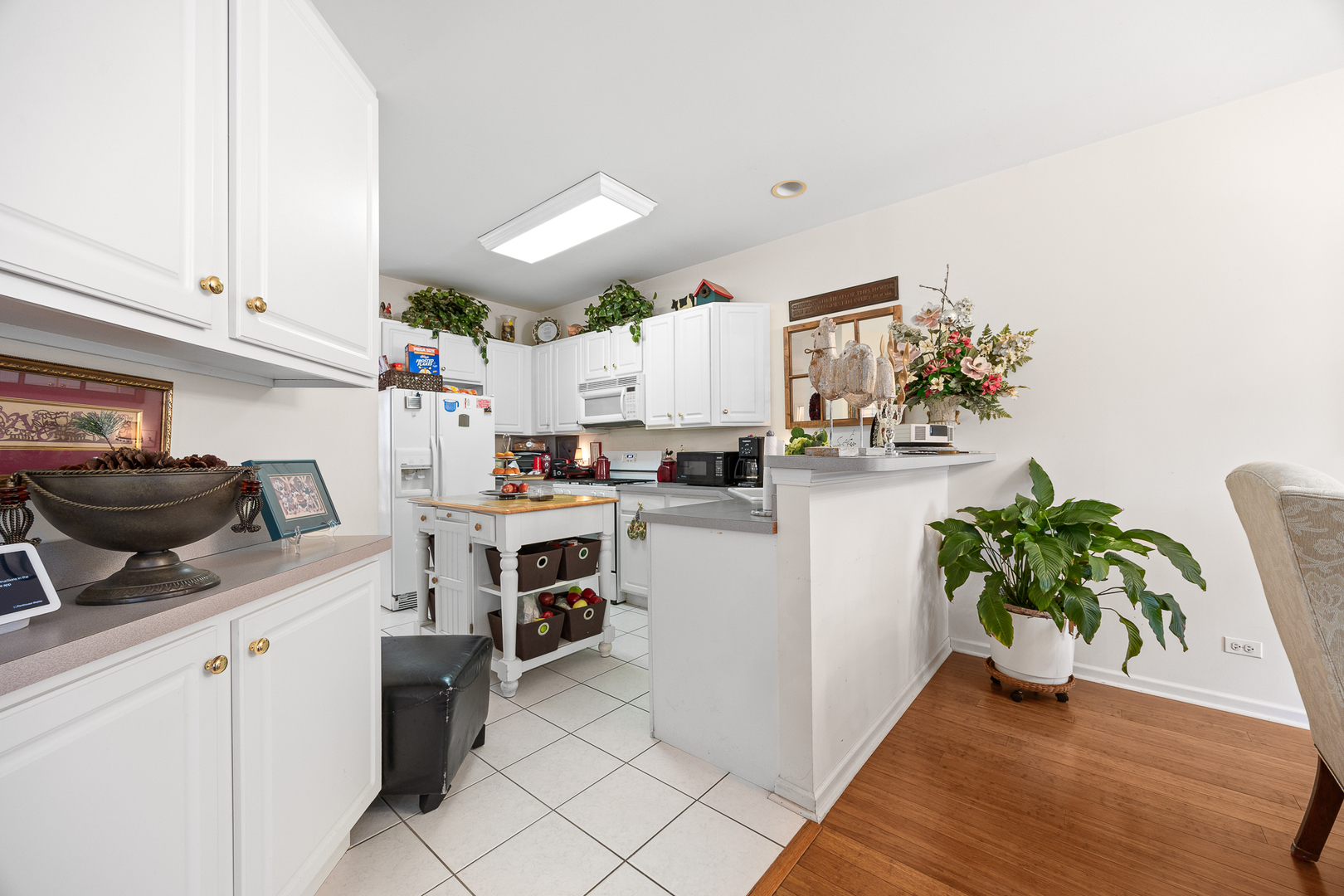 2939 Brossman Street, Naperville, IL 60564