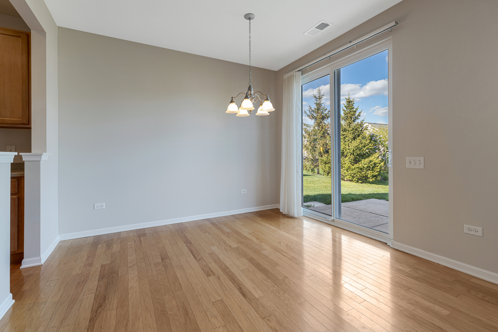 13260 Red Alder Avenue, Huntley, IL 60142