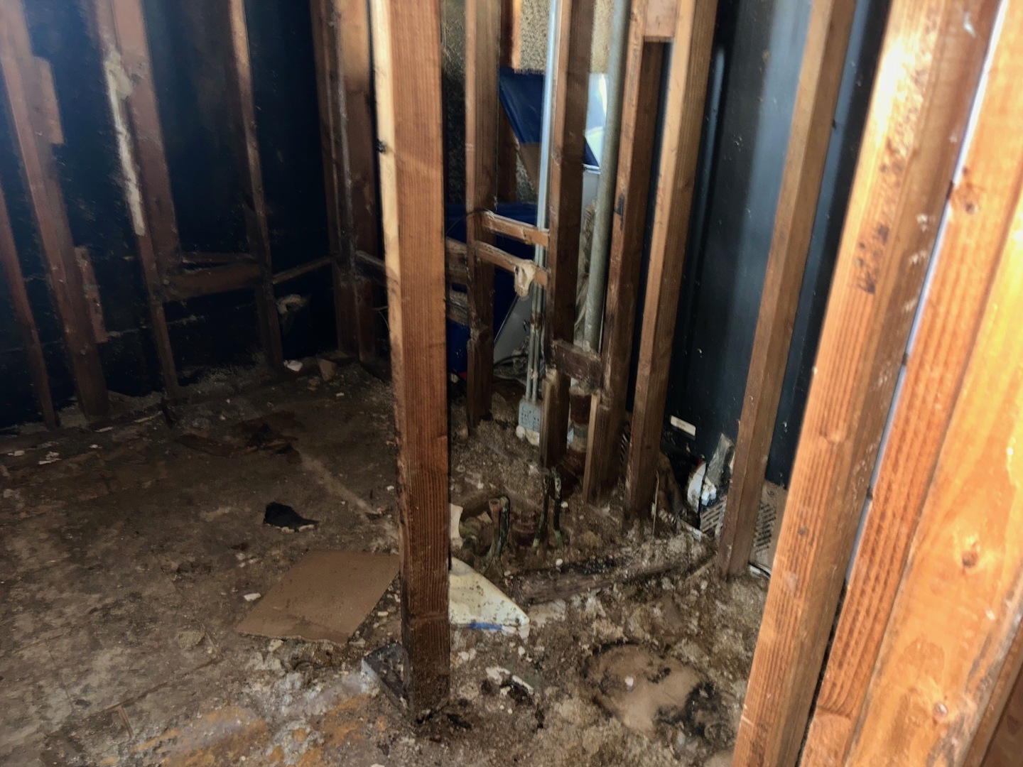 356 Wilshire Street, Park Forest, IL 60466