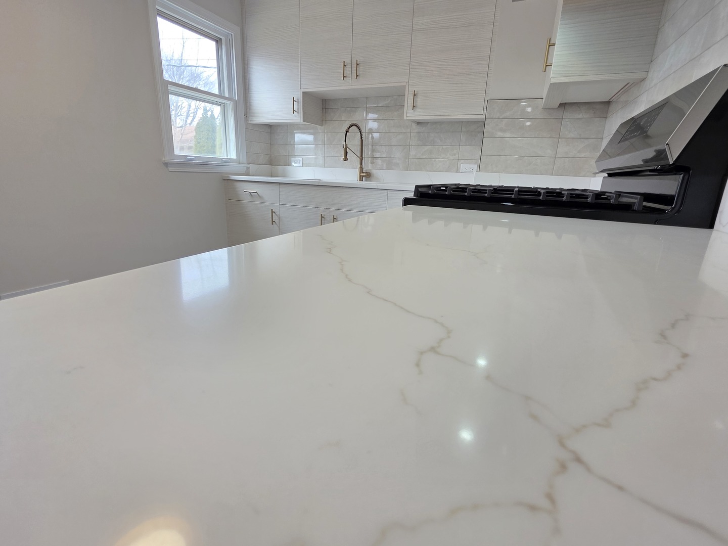 1738 Seymour Avenue, North Chicago, IL 60064