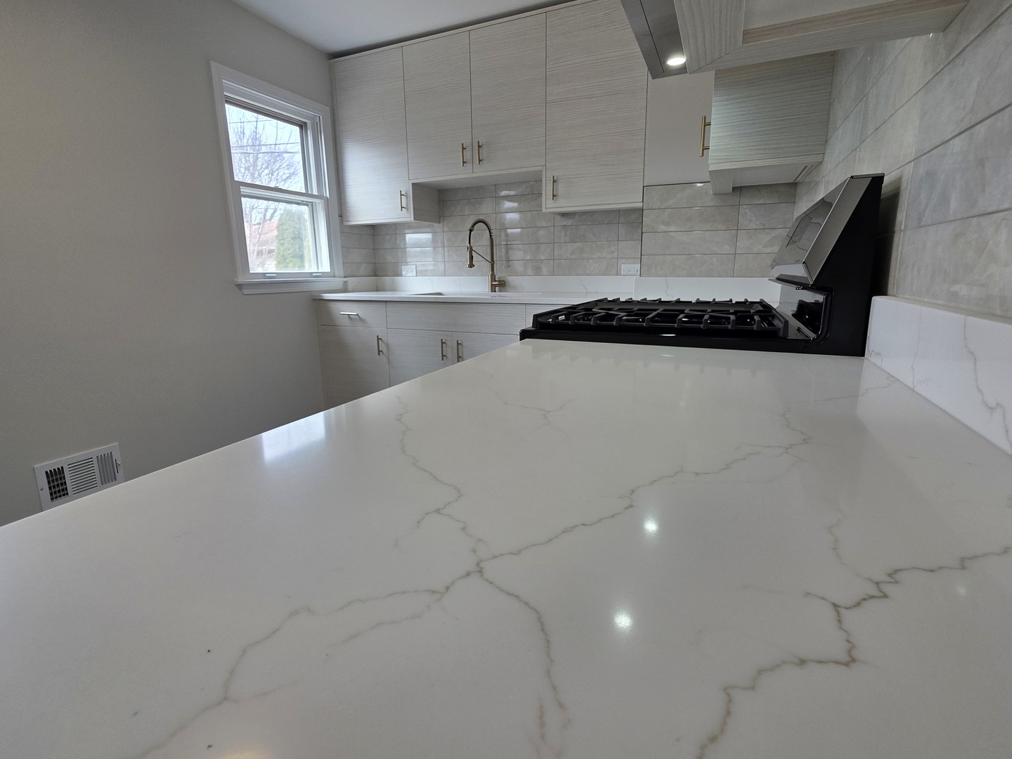 1738 Seymour Avenue, North Chicago, IL 60064