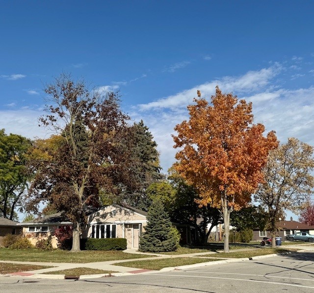 250 Anita Street, Des Plaines, IL 60016