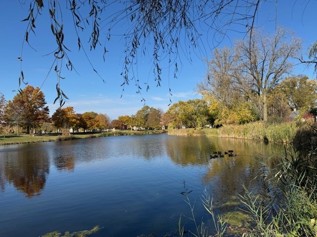 250 Anita Street, Des Plaines, IL 60016