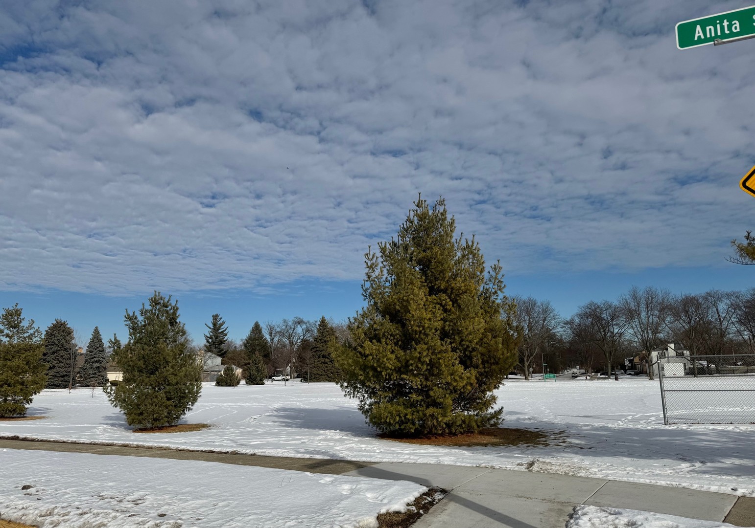 250 Anita Street, Des Plaines, IL 60016