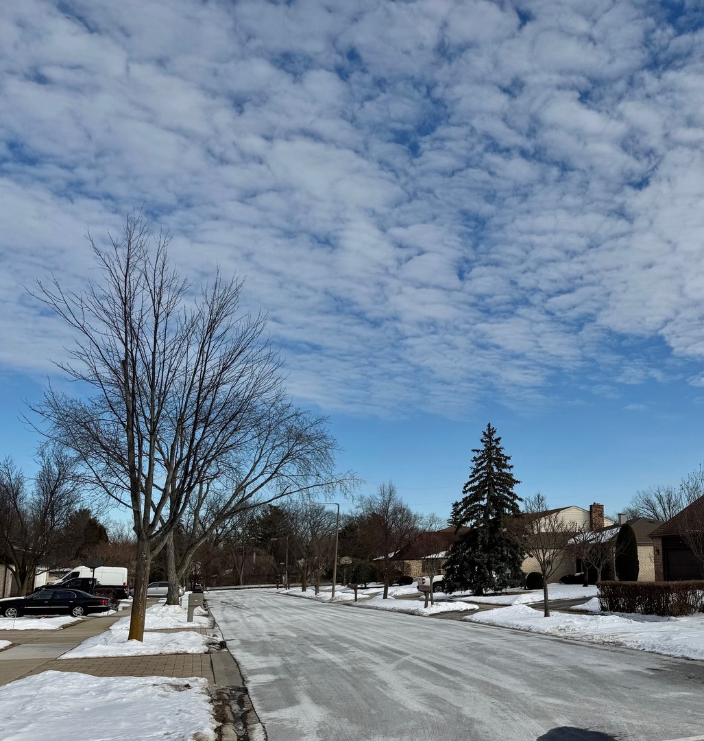 250 Anita Street, Des Plaines, IL 60016