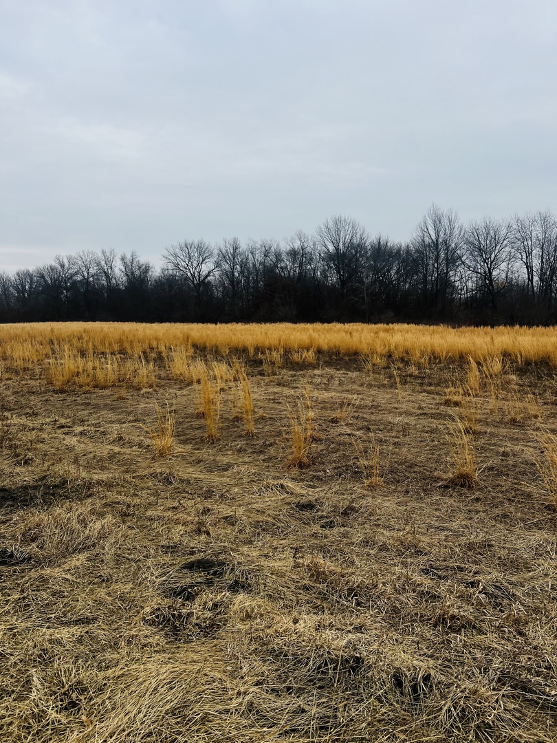 0001 4750 Road, Pembroke Twp, IL 60958