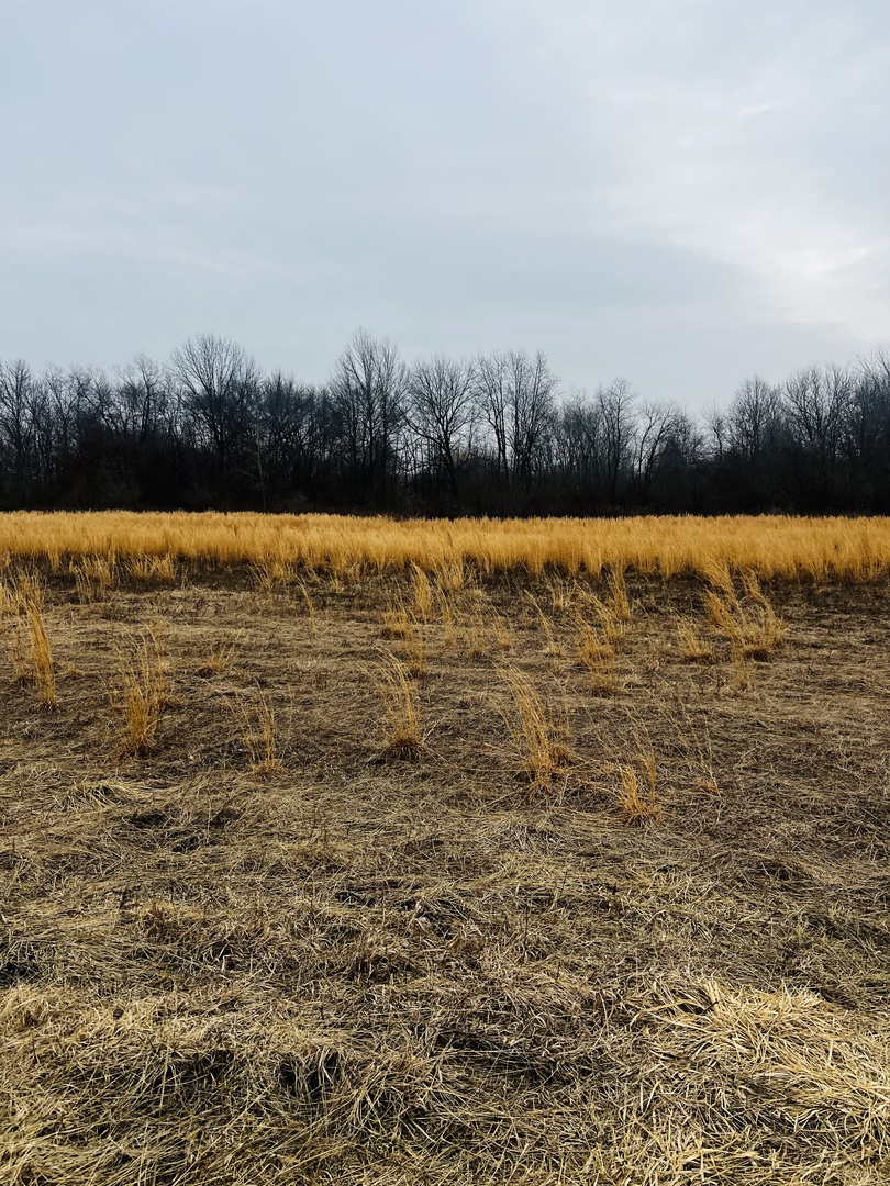 0001 4750 Road, Pembroke Twp, IL 60958