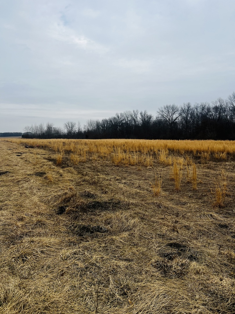 0001 4750 Road, Pembroke Twp, IL 60958