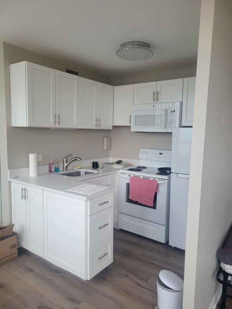 6171 N Sheridan Road #705, Chicago, IL 60660