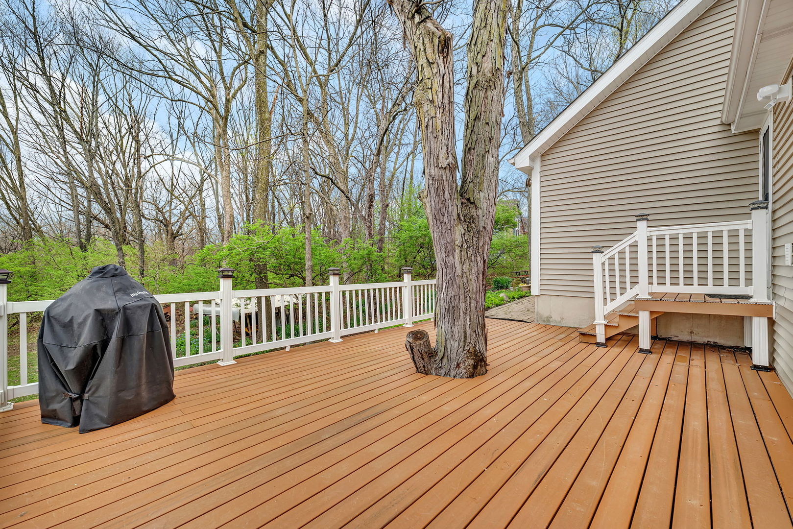 22506 S Queens Court, Joliet, IL 60404