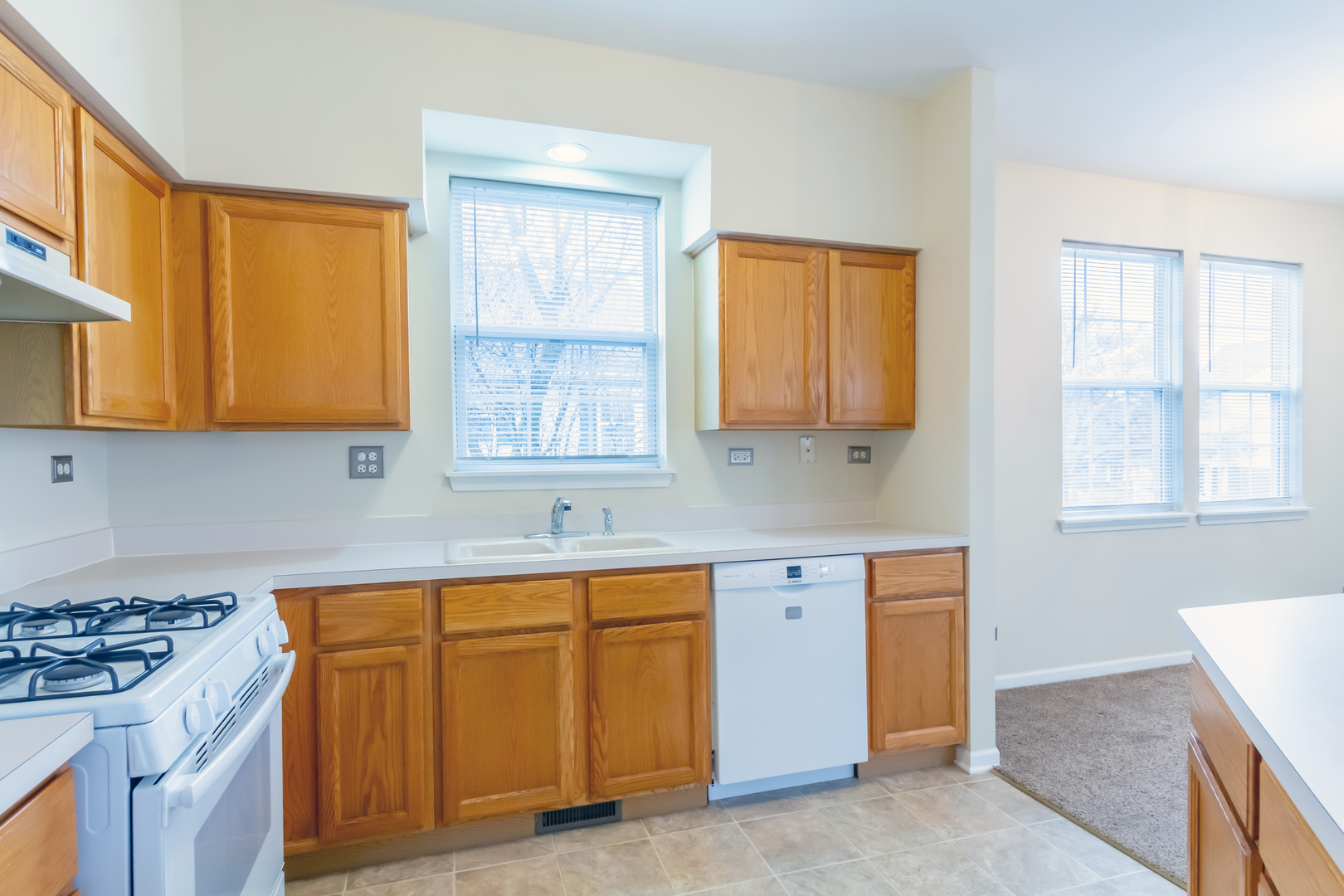 36 N Mill Road, Addison, IL 60101