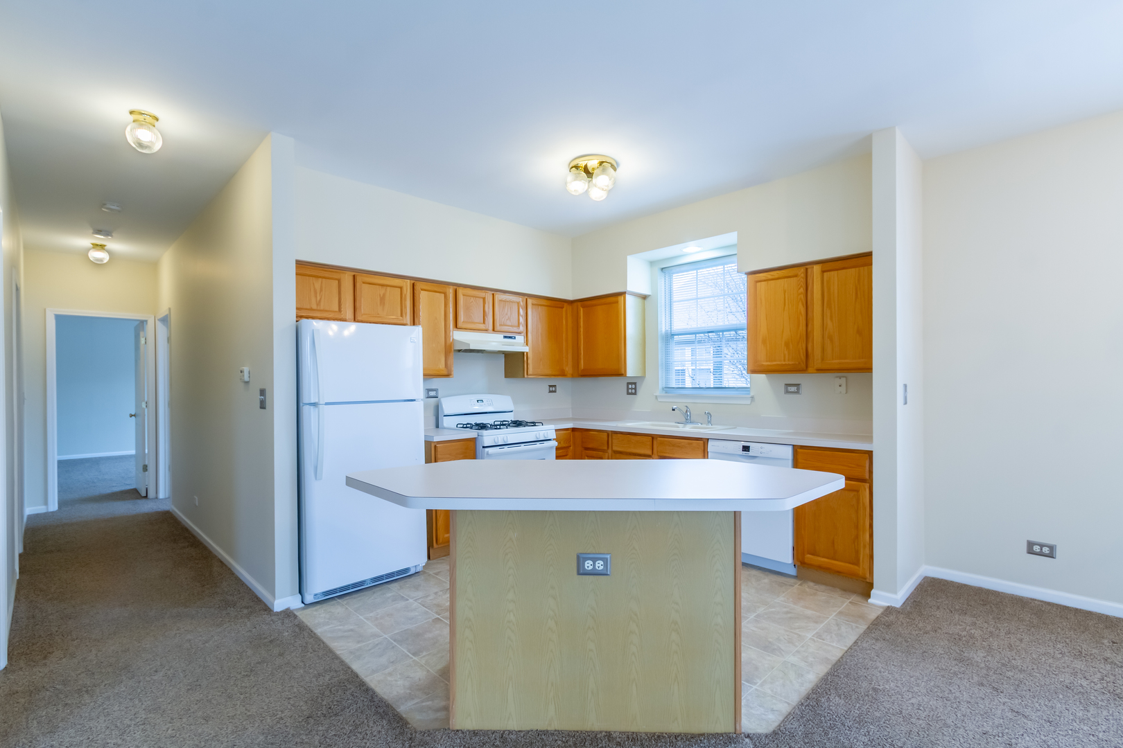 36 N Mill Road, Addison, IL 60101