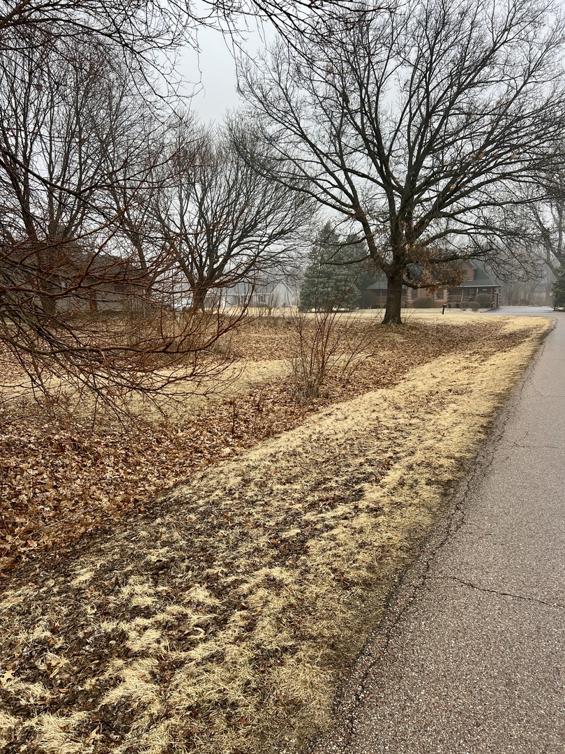 990 Holiday Drive, Lake Holiday, IL 60548