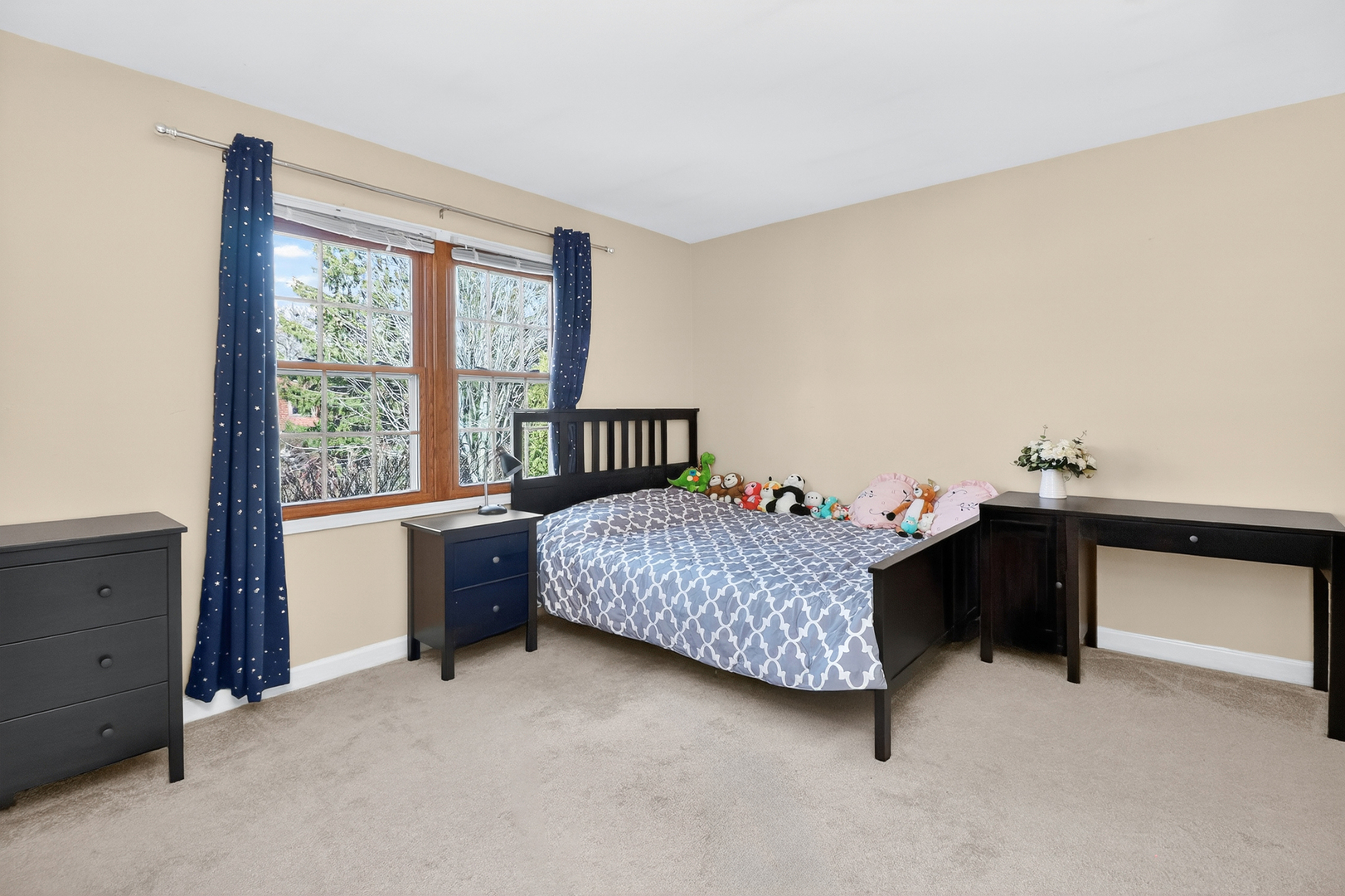 911 Rock Spring Road, Naperville, IL 60565