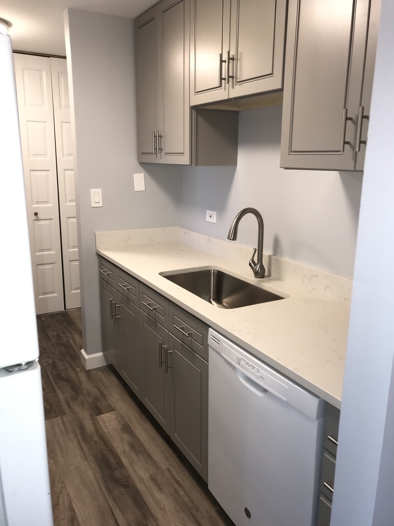 4 Oak Creek Drive #3505, Buffalo Grove, IL 60089