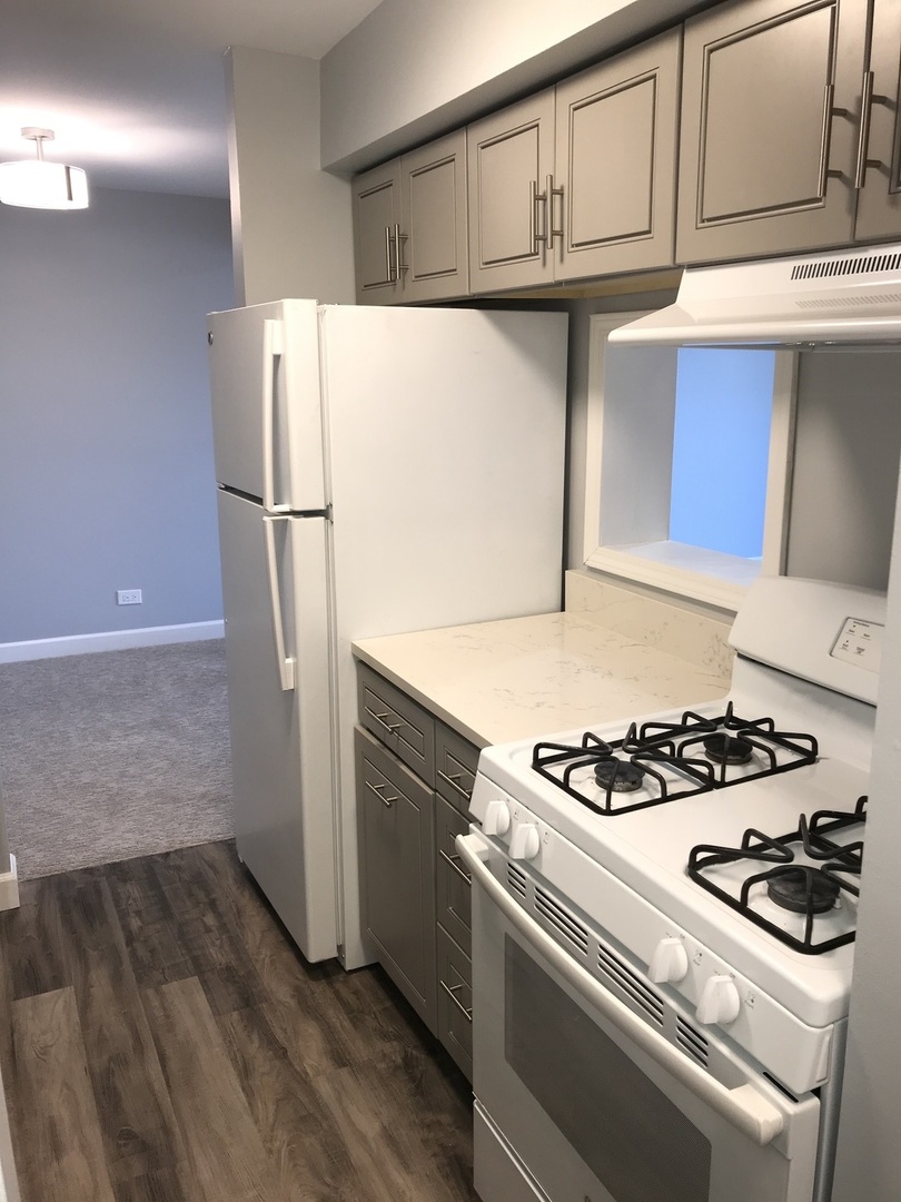 4 Oak Creek Drive #3505, Buffalo Grove, IL 60089